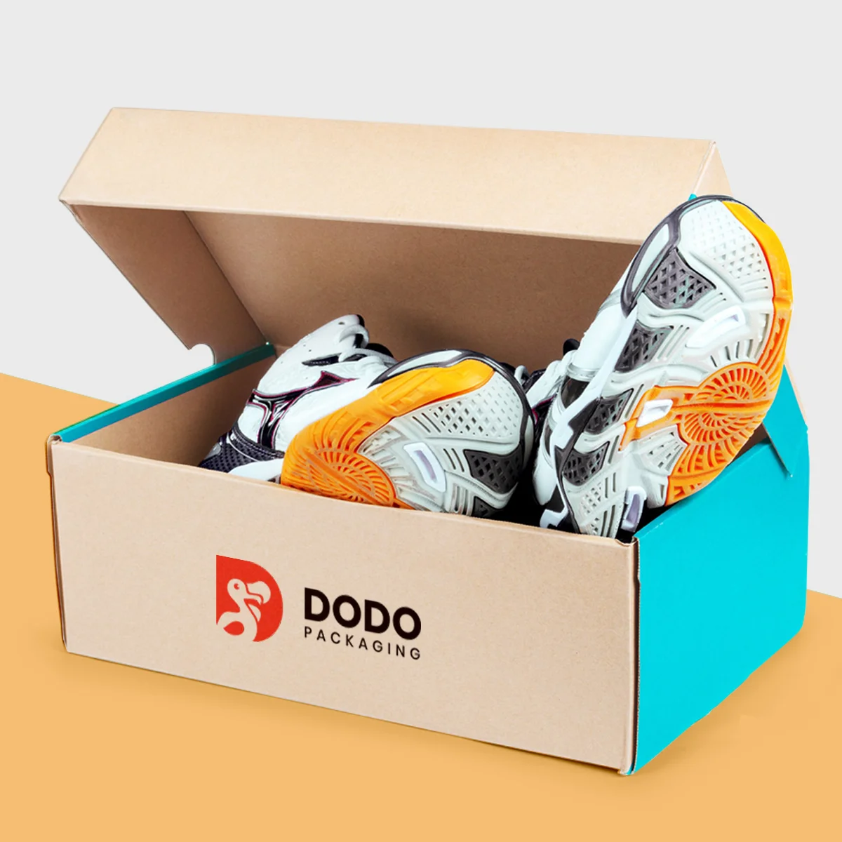 cardboard shoe boxes