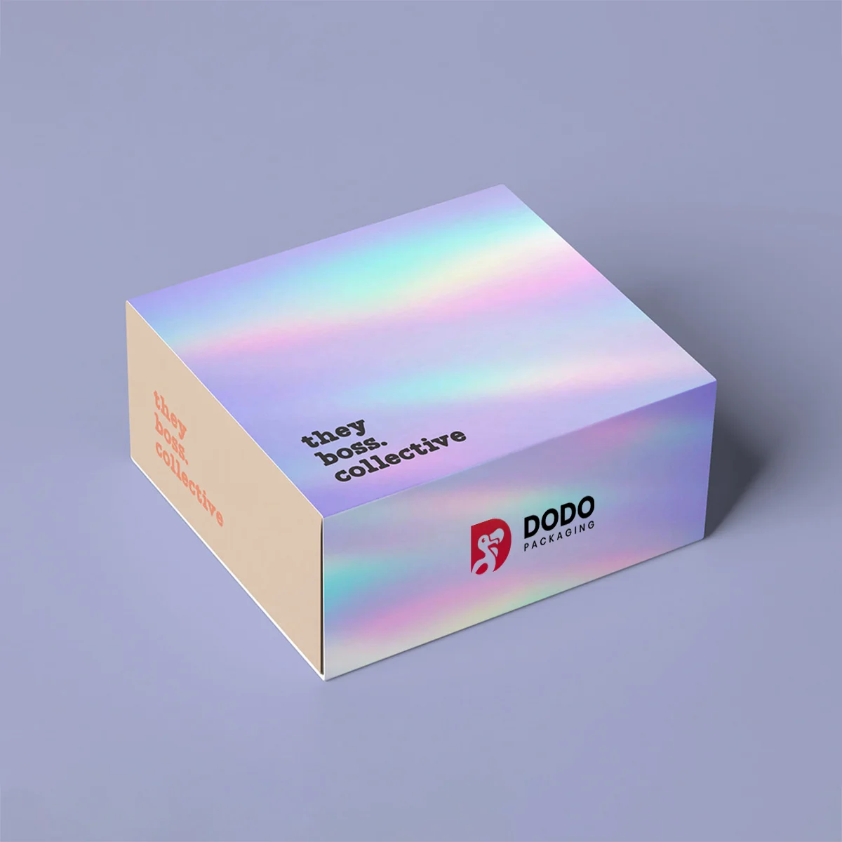 Holographic Rigid Boxes
