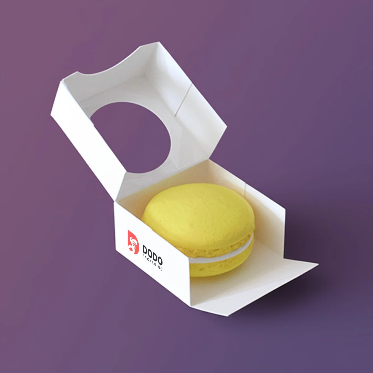 single macaron box