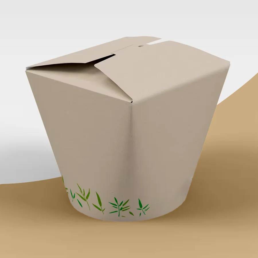 takeaway noodle boxes