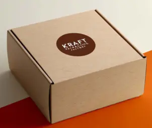 Kraft Mailer Boxes