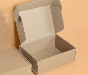 Empty Cardboard Boxes 